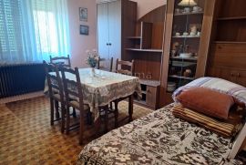 KUĆA PALINOVEC I 8373 M2 ZEMLJIŠTA, Donji Kraljevec, House