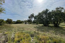 Građevinsko zemljište u oazi mira, s djelomično izgrađenim objektom, Barban, Terrain