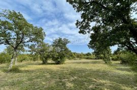 Građevinsko zemljište u oazi mira, s djelomično izgrađenim objektom, Barban, Land