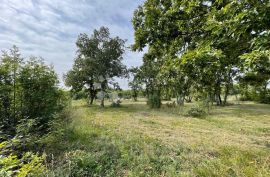 Građevinsko zemljište u oazi mira, s djelomično izgrađenim objektom, Barban, Land