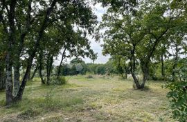 Građevinsko zemljište u oazi mira, s djelomično izgrađenim objektom, Barban, Terrain