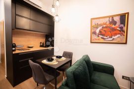 Stan centar, Rijeka, Apartamento