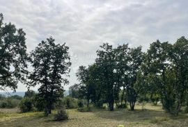 Djelomično izgrađena kuća u oazi mira i dva građevinska terena, Barban, Kuća