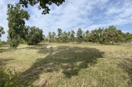 Predivno građevinsko zemljište, Barban, Land