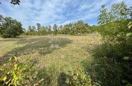 Predivno građevinsko zemljište, Barban, Land