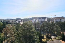 Pino Silvestre, 52m2 lux, Wellnes, parking, Čajetina, Appartment