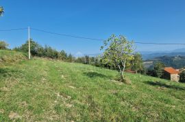 ISTRA, MOTOVUN, OKOLICA - Kompleks zemljišta s pogledom na Butonigu i brdašca, Motovun, Terra