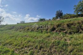 ISTRA, MOTOVUN, OKOLICA - Kompleks zemljišta s pogledom na Butonigu i brdašca, Motovun, أرض