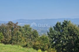 ISTRA, MOTOVUN, OKOLICA - Kompleks zemljišta s pogledom na Butonigu i brdašca, Motovun, أرض