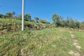 ISTRA, MOTOVUN, OKOLICA - Kompleks zemljišta s pogledom na Butonigu i brdašca, Motovun, Land