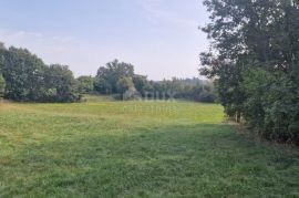 ISTRA, ŽMINJ - Kompleks zemljišta ukupne površine 15.136 m2, Žminj, أرض