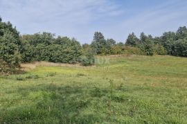 ISTRA, ŽMINJ - Kompleks zemljišta ukupne površine 15.136 m2, Žminj, Arazi