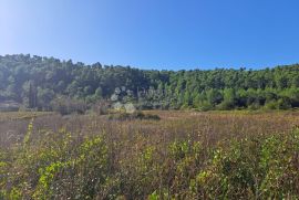 Poljoprivredno zemljište, Blato, Land