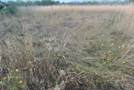 Mulo-građevinski teren udaljen samo 250 m od mora, Vrsi, Land