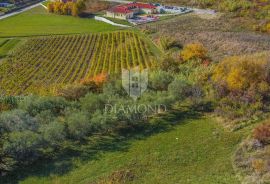 Vižinada, građevinsko zemljište sa otvorenim pogledom, Vižinada, Земля