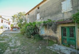 Kompleks autohtonih istarskih kuća za adaptaciju u okolici Buja, Buje, Famiglia