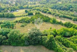 Građevinsko zemljište na odličnoj lokaciji, okolica Marčane, Marčana, Land