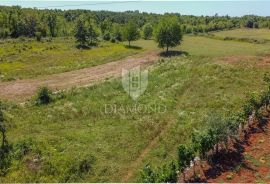 Tinjan - Muntrilj, zemljište za izgradnju kuća za odmor, Tinjan, Land