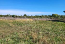 ISTRA, ŽMINJ - Prostrano građevinsko zemljište na rubu naselja, Žminj, Land