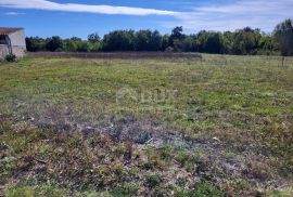 ISTRA, ŽMINJ - Građevinsko zemljište, Žminj, Land