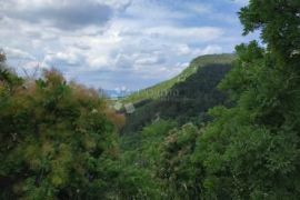 Roč, poljoprivredni teren s velikim mogućnostima, Buzet, Terreno