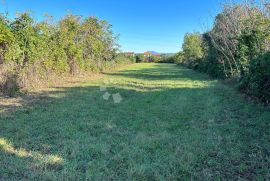 Kombinacija građevinskog i poljoprivrednog zemljišta, Marčana, Land