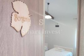 ISTRA, JEDINSTVENi B&B S TAVERNOM i VINSKIM PODRUMOM, Motovun, Propriedade comercial