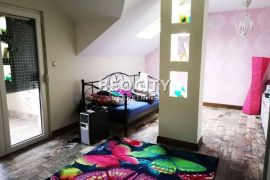 Novi Sad, Adice, , 8.0, 370m2, Novi Sad - grad, House