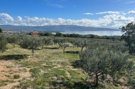 Kuće sa maslinikom 30500 m2 i voćnjakom, Krk, Ev