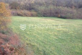 Istra, Kanfanar, uređeno poljoprivredno zemljište 13.270 m2, Kanfanar, Γη