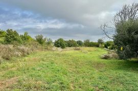 Građevinsko-poljoprivredno zemljište na posebnoj lokaciji, Ližnjan, Land