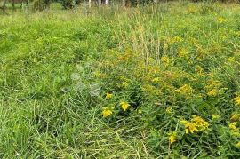 VRHUNSKO GRAĐEVINSKO ZEMLJIŠTE NADOMAK ZAGREBA!!!, Gornja Stubica, Terreno