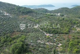 Orašac, poljoprivredno zemljište s objektom 111 m2, Dubrovnik - Okolica, Tierra