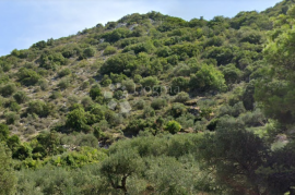 Građevinsko zemljište Pelješac, Trpanj, Terrain