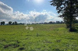 GRAĐE.ZEMLJIŠTE 16000m2 - cijelo/pola/trećina/ PRILIKA, Gospić, Terrain