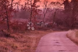 Prostrano zemljište za uživanje u prirodi, Svetvinčenat, Land