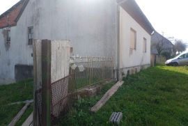 VELIKA KUĆA U SRCU SELA, Čaglin, Famiglia