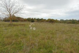 Veliko građevinsko zemljište s prekrasnim pogledom, Žminj, Land