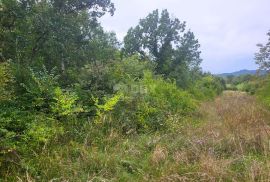 ISTRA, SOVINJAK - Prostrano građevinsko zemljište s lijepim pogledom, Buzet, Terrain