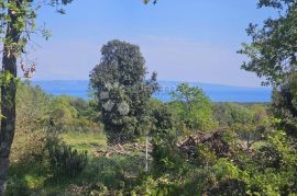 POGLED ZA RAZGLEDNICE, Marčana, Terrain