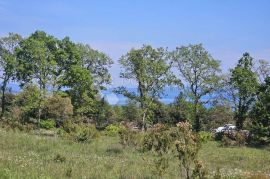 POGLED ZA RAZGLEDNICE, Marčana, Terrain