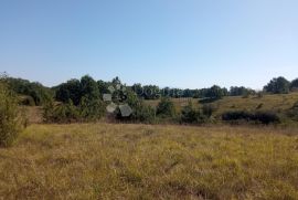 Veliko poljoprivredno zemljište u okolici Pazina, Pazin - Okolica, Земля