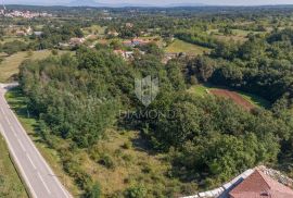 Žminj, prostrano građevinsko zemljište nedaleko od centra, Žminj, Terrain