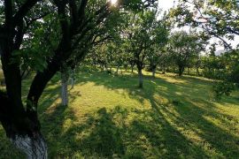 Voćnjak - Erdut, Erdut, Land