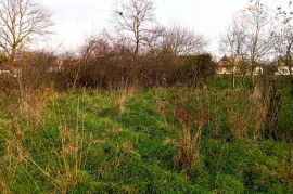 Građevinsko zemljište - Tiborjanci, Belišće, Terreno