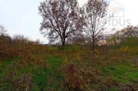 Građevinsko zemljište - Tiborjanci, Belišće, Terreno