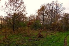 Građevinsko zemljište - Tiborjanci, Belišće, Terreno