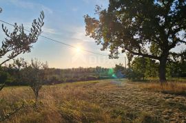 ISTRA, OPRTALJ - Kamena kuća na predivnom imanju, Oprtalj, Terreno