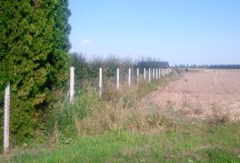 Zemljište - Industrijska zona Osijek, Osijek, Γη