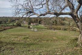 Uctrana kuća, izuzetno velika površina, Majur, Arazi